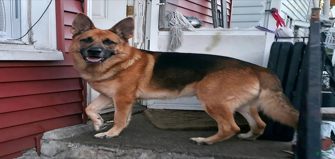 Gallery Image {{count}}