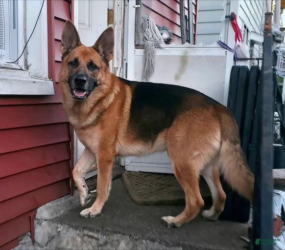 Gallery Image {{count}}