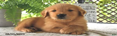 Skye