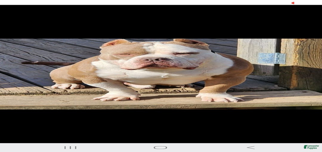 Gallery Image {{count}}