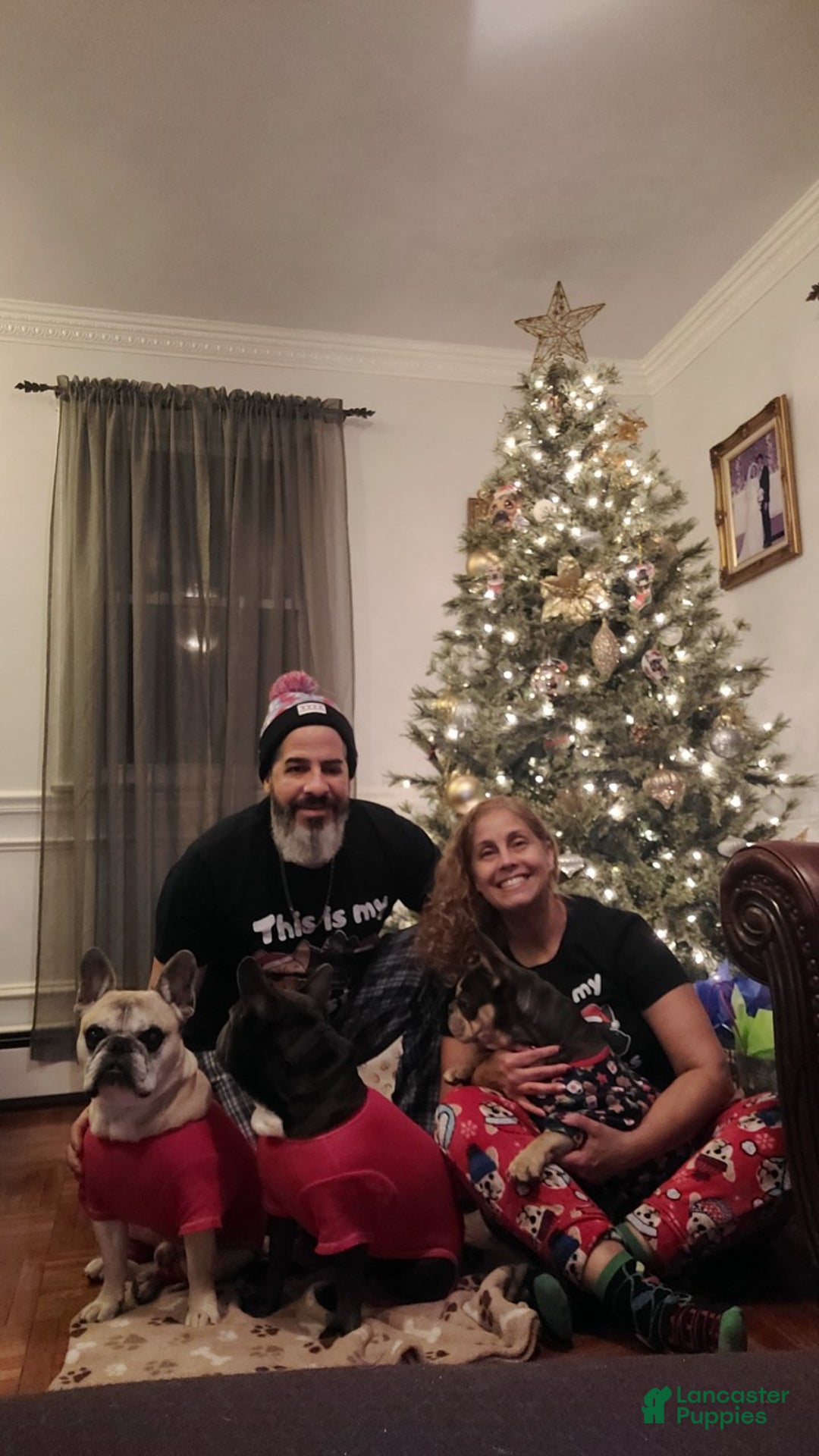 Gallery Image {{count}}