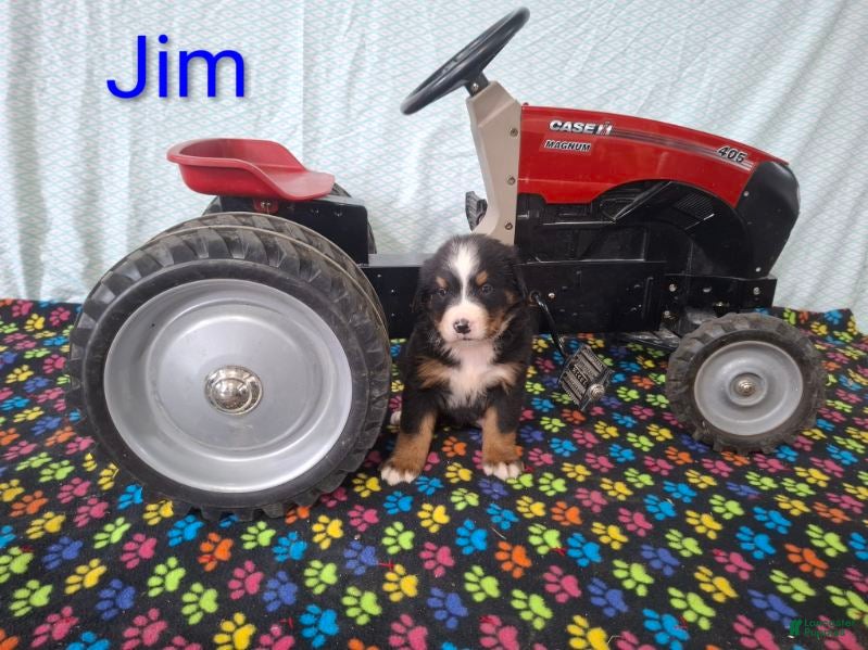 Jim