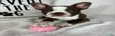 Betty