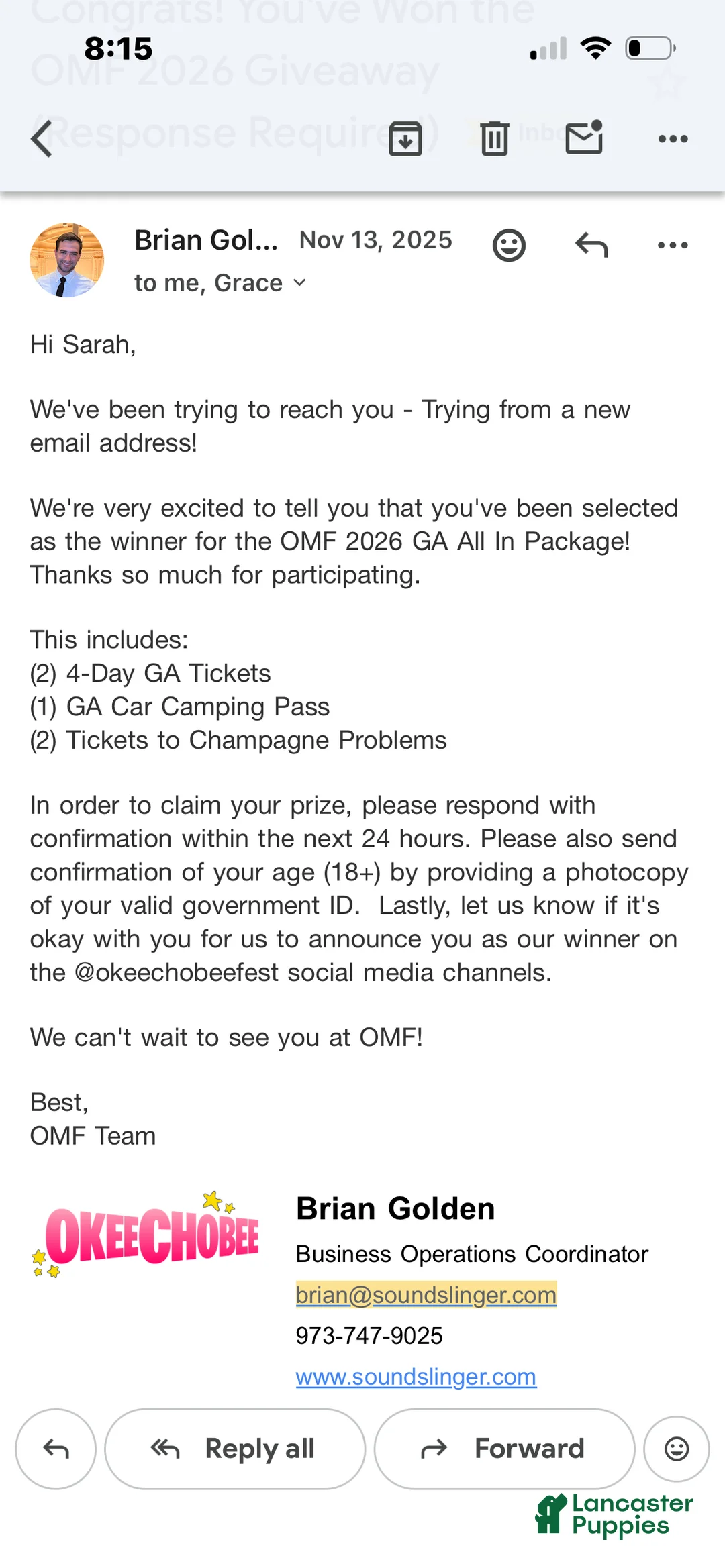 Goldendoodle dogs for sale: Jerry - Ad 16