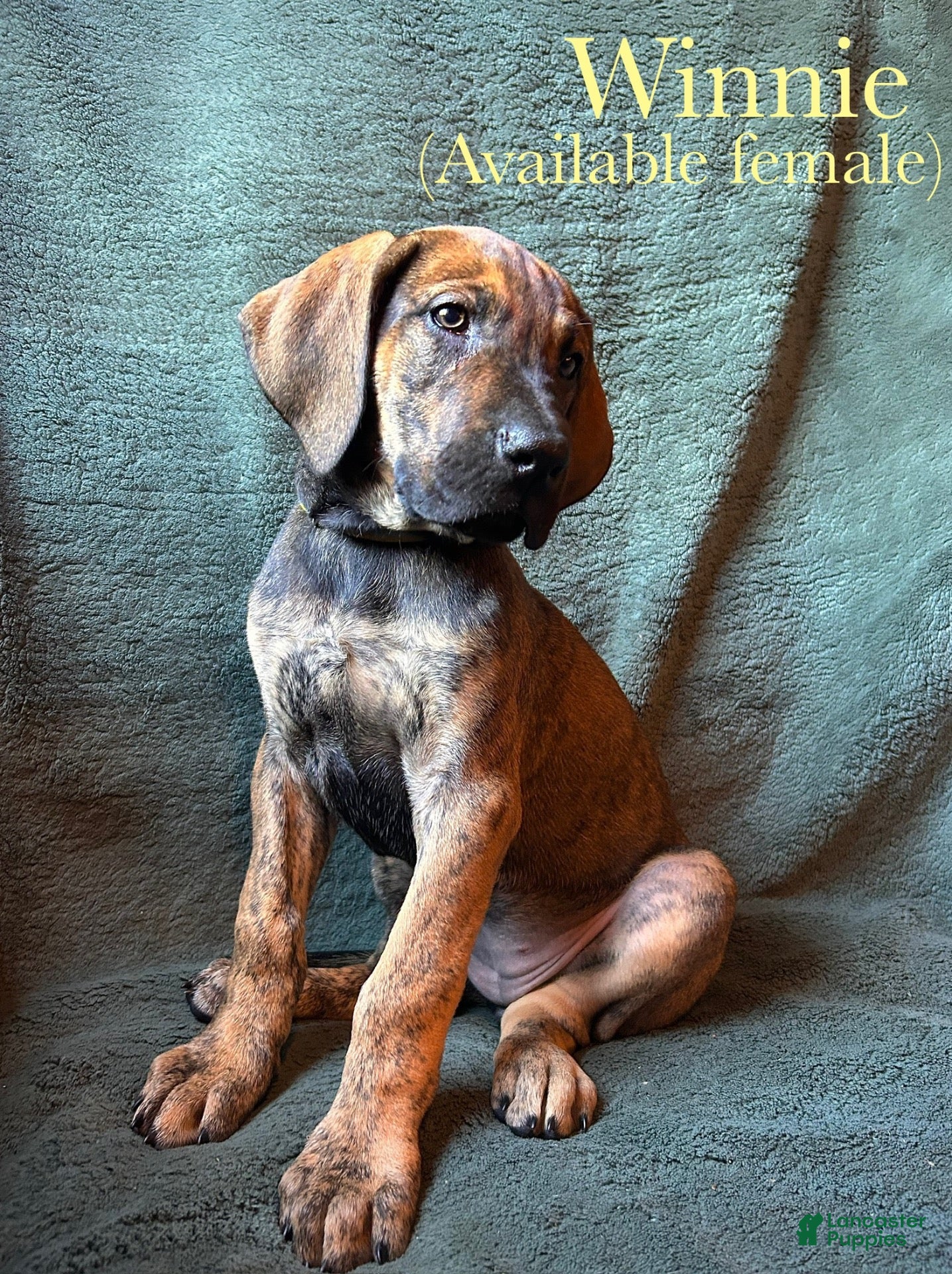 Winnie