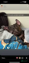 Rosco