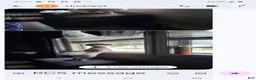 Shih Tzu dogs for sale: Shih Tzu 1 - Ad 2