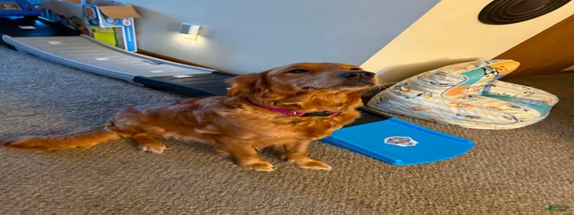Millie