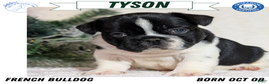 Tyson