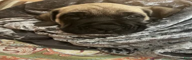 Sold storm