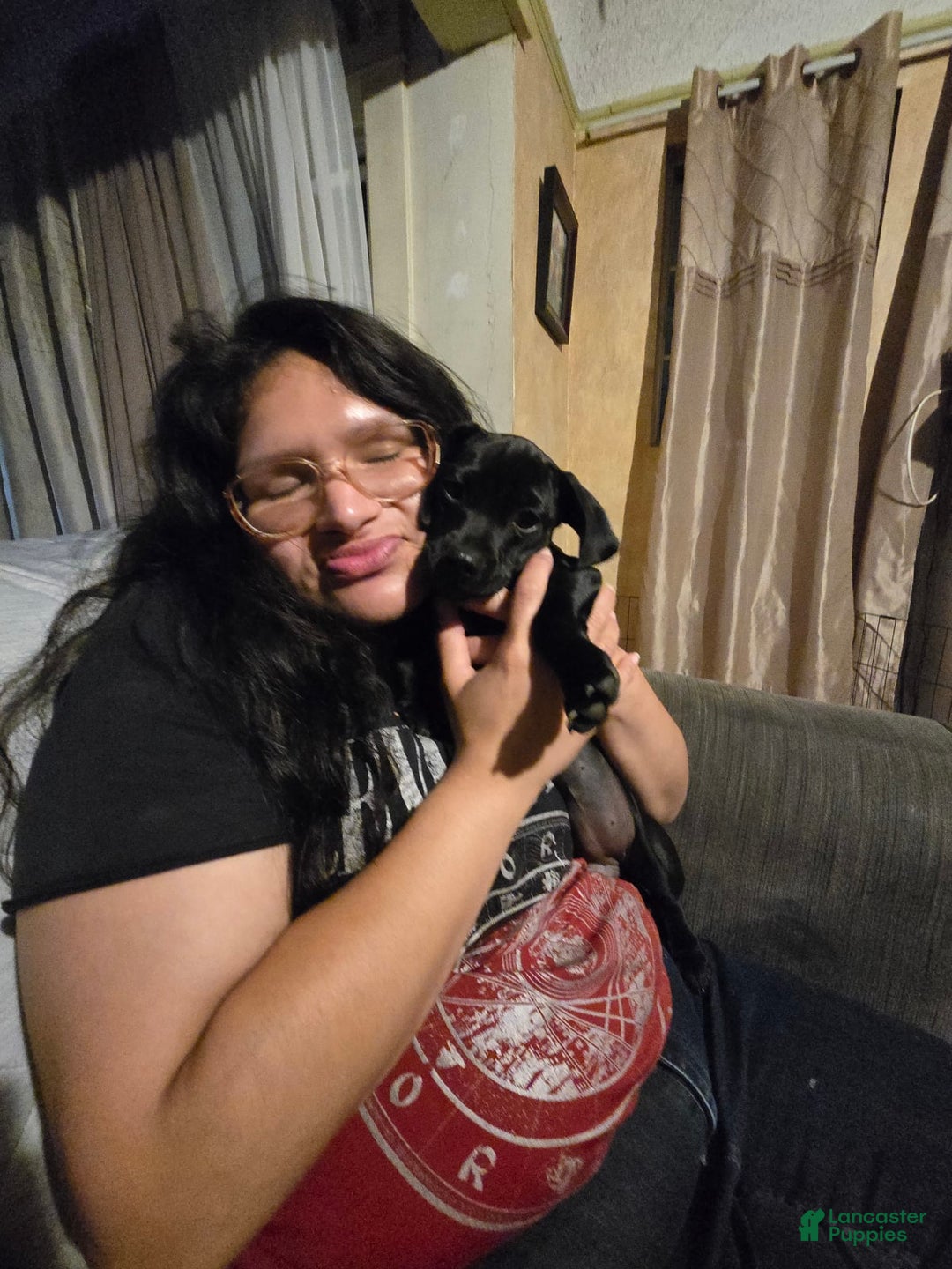 Gallery Image {{count}}