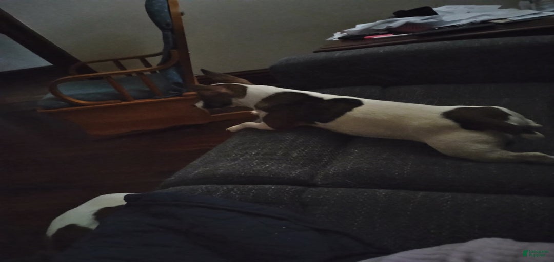 Gallery Image {{count}}