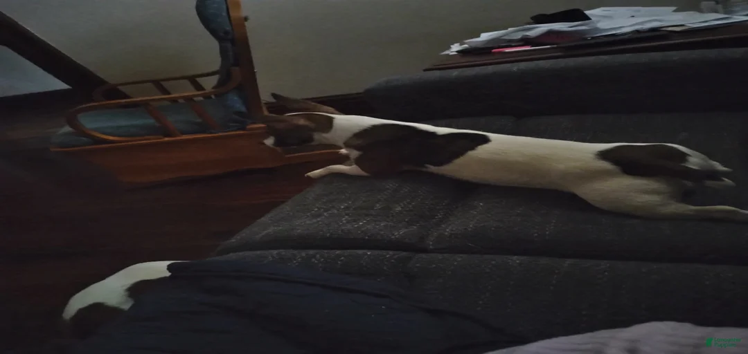 Gallery Image {{count}}