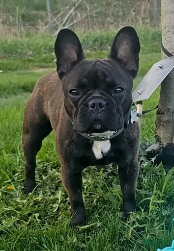 Gallery Image {{count}}