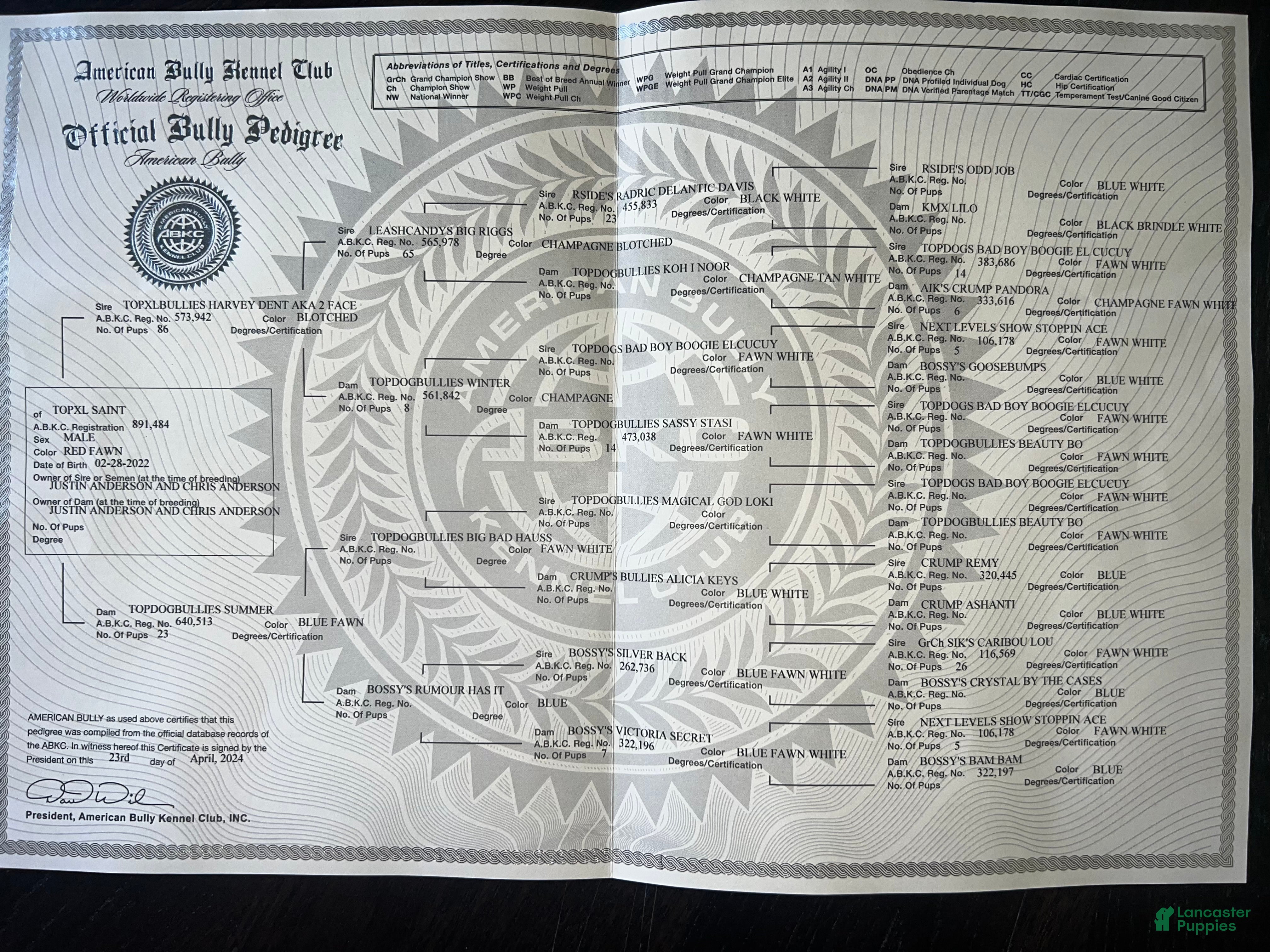 HARVEY DENT