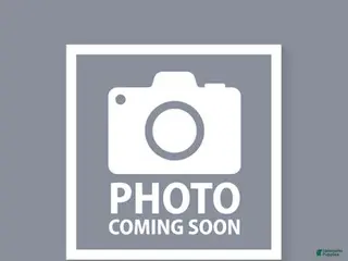 French Bulldog dogs Blue big rope male - Ad 37