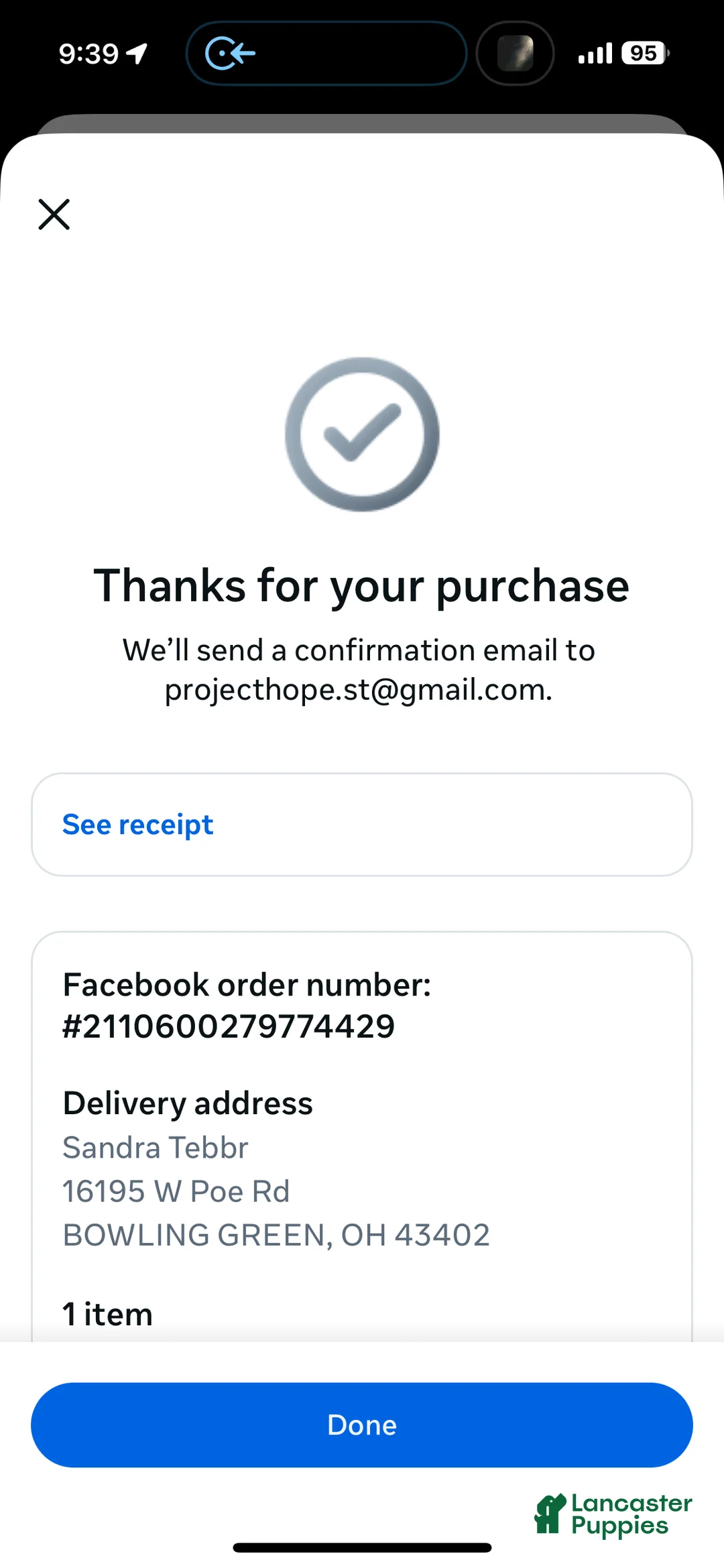 Yorkiepoo dogs for sale: Teacup Princess - Ad 4