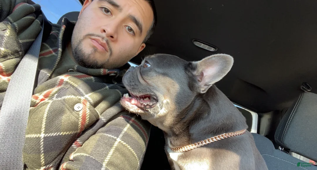 Gallery Image {{count}}