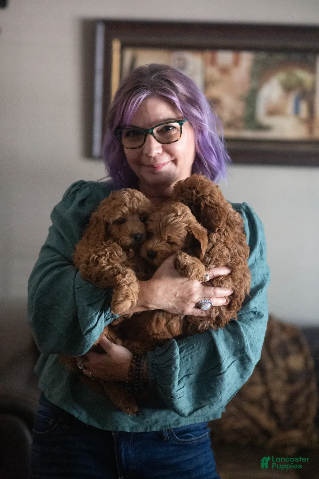 Gallery Image {{count}}