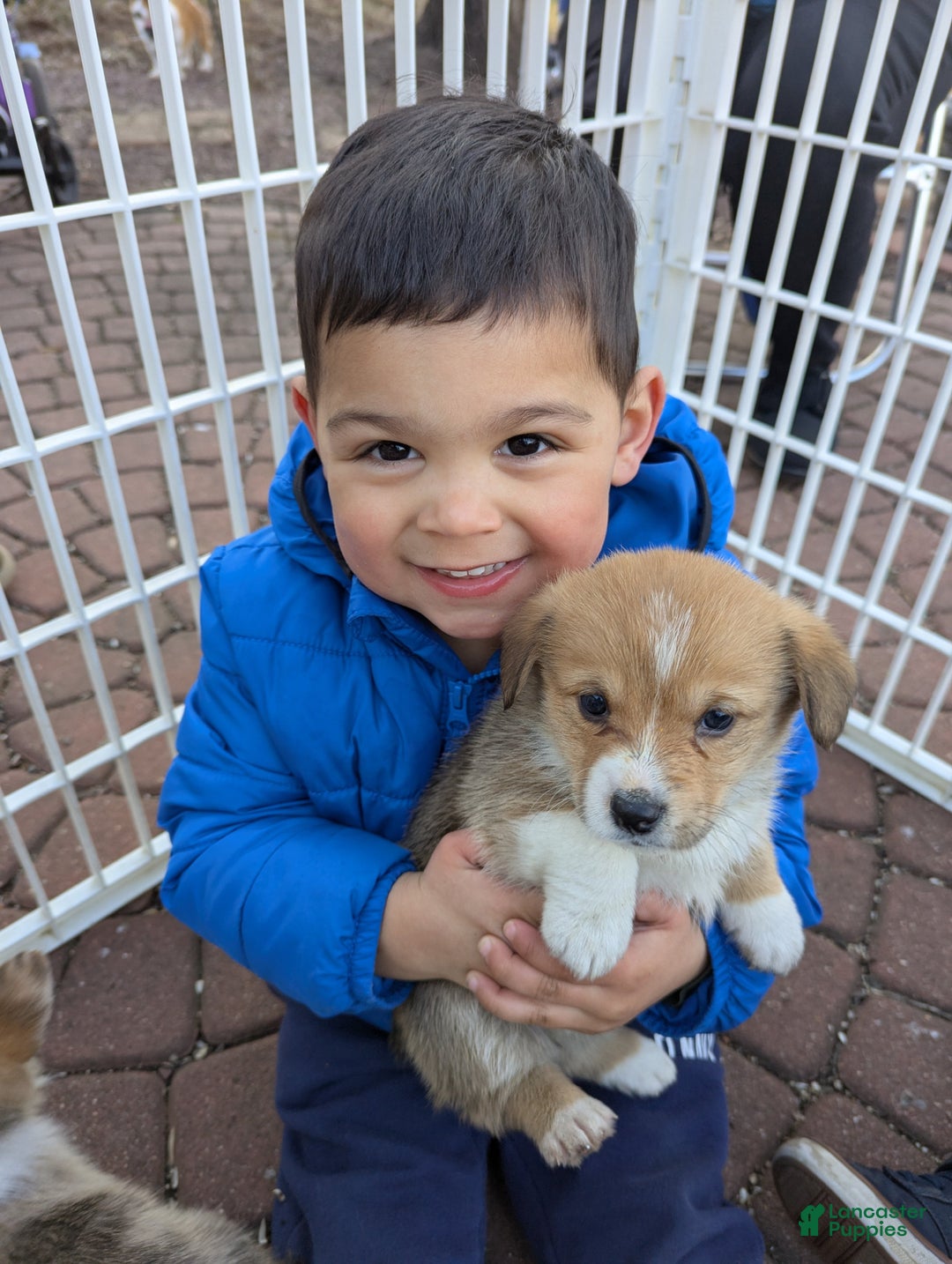 Gallery Image {{count}}