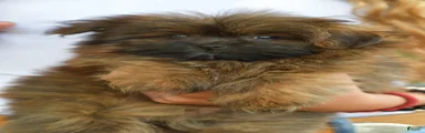 Pixsy (mini Chewbacca) 
