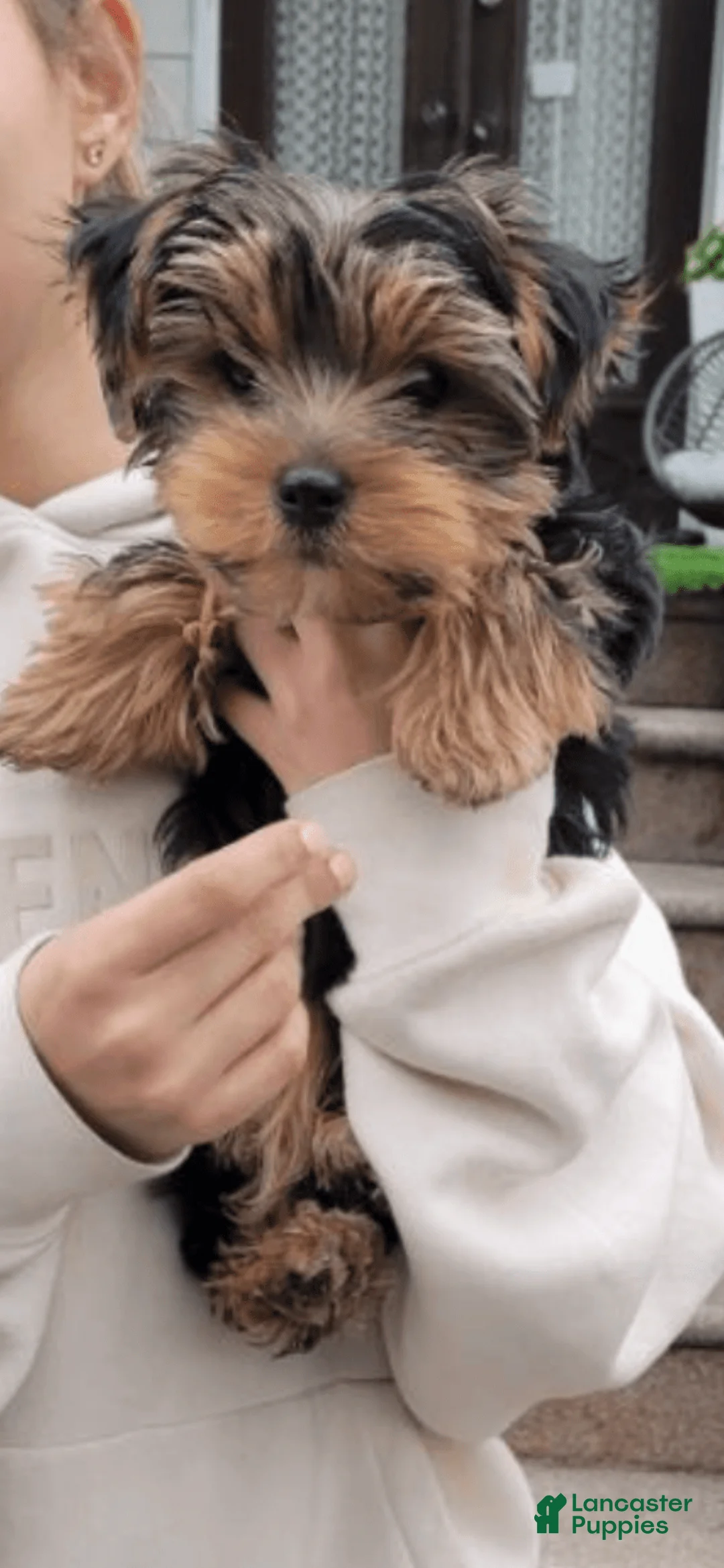 Gallery Image {{count}}