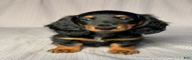 Benson