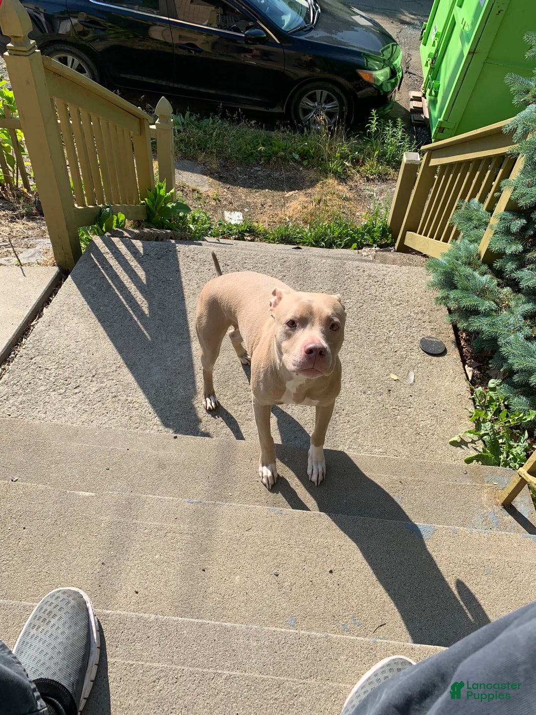 Gallery Image {{count}}