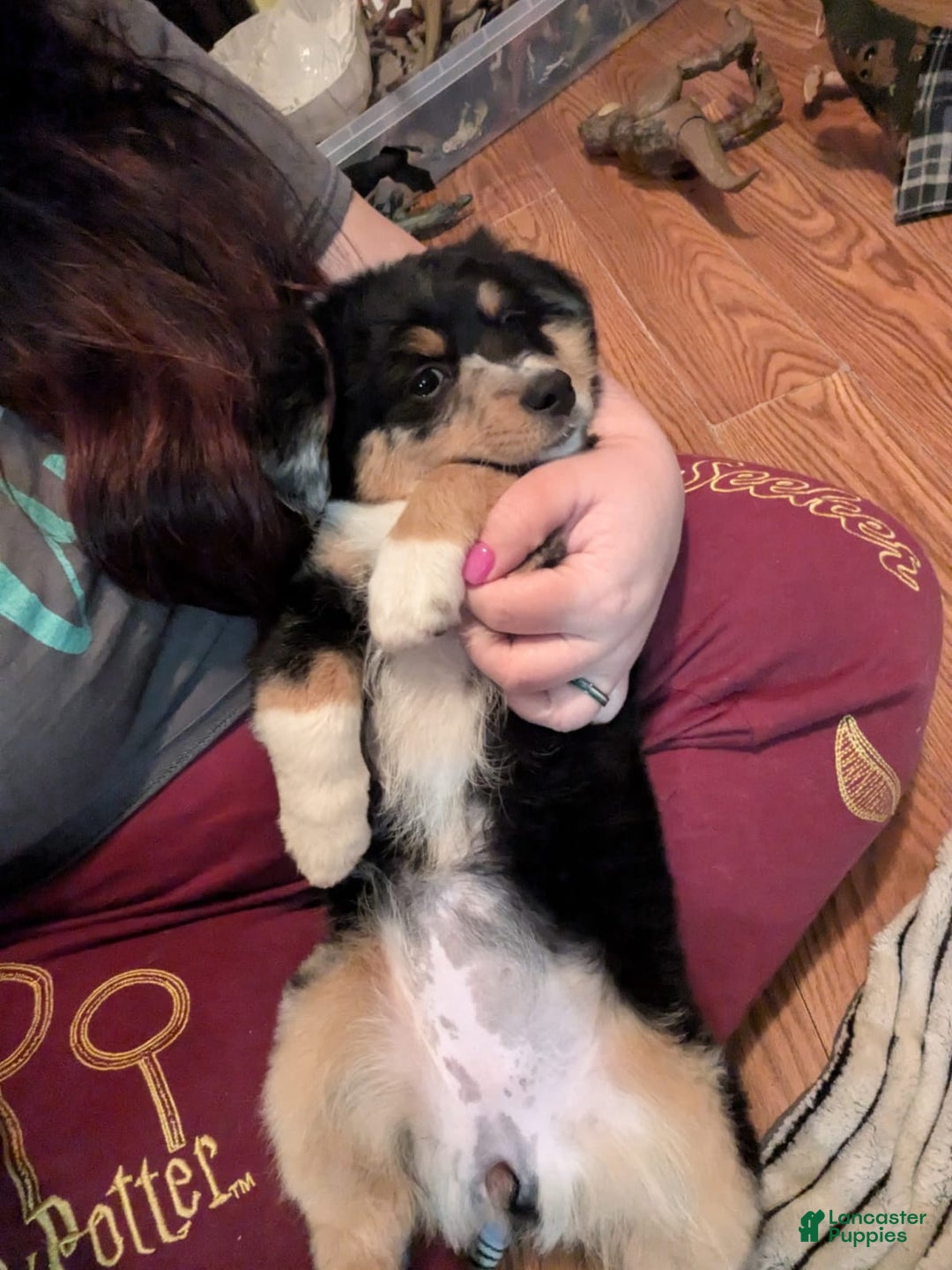 Gallery Image {{count}}