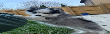 Riddoc