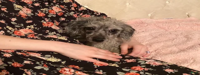 Rosie