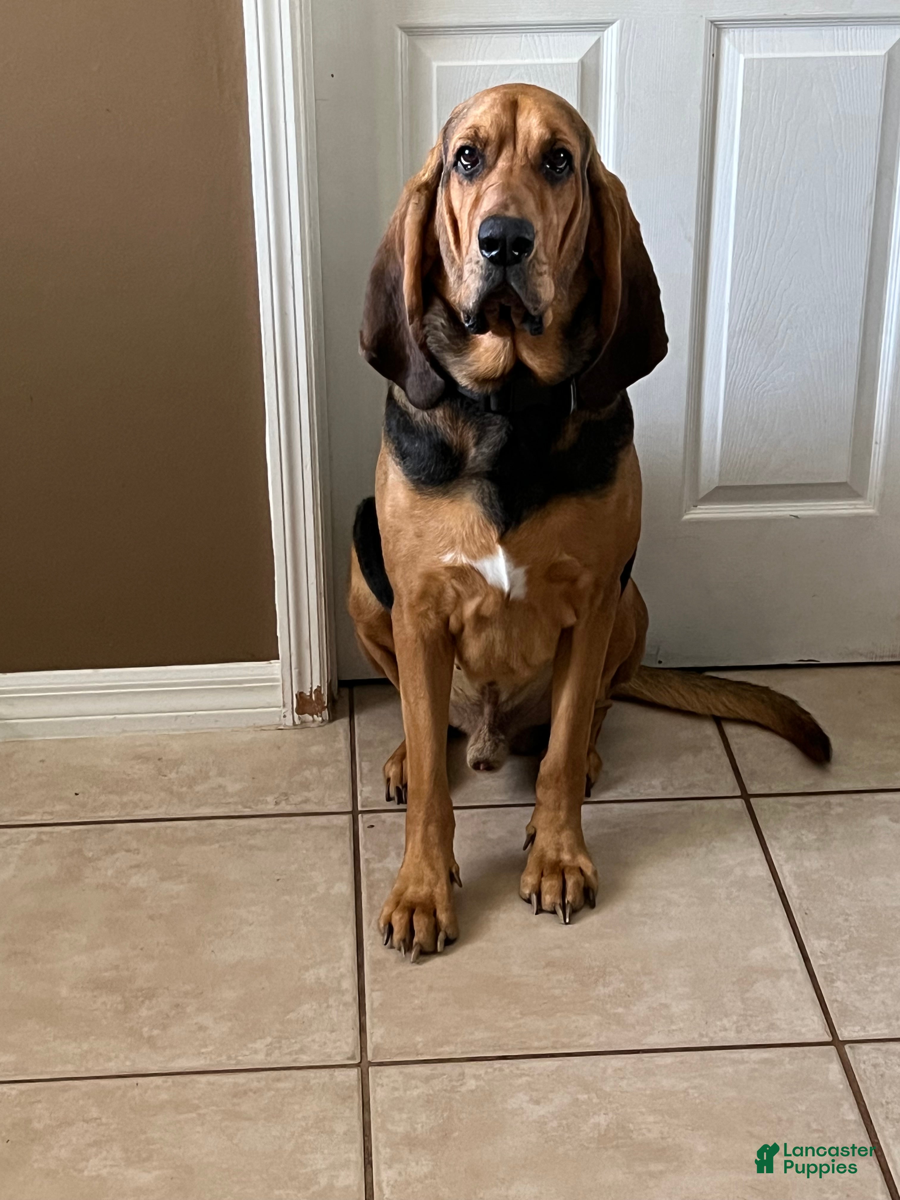 Copper