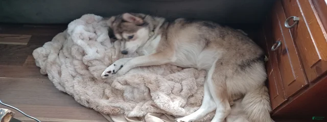 Kita
