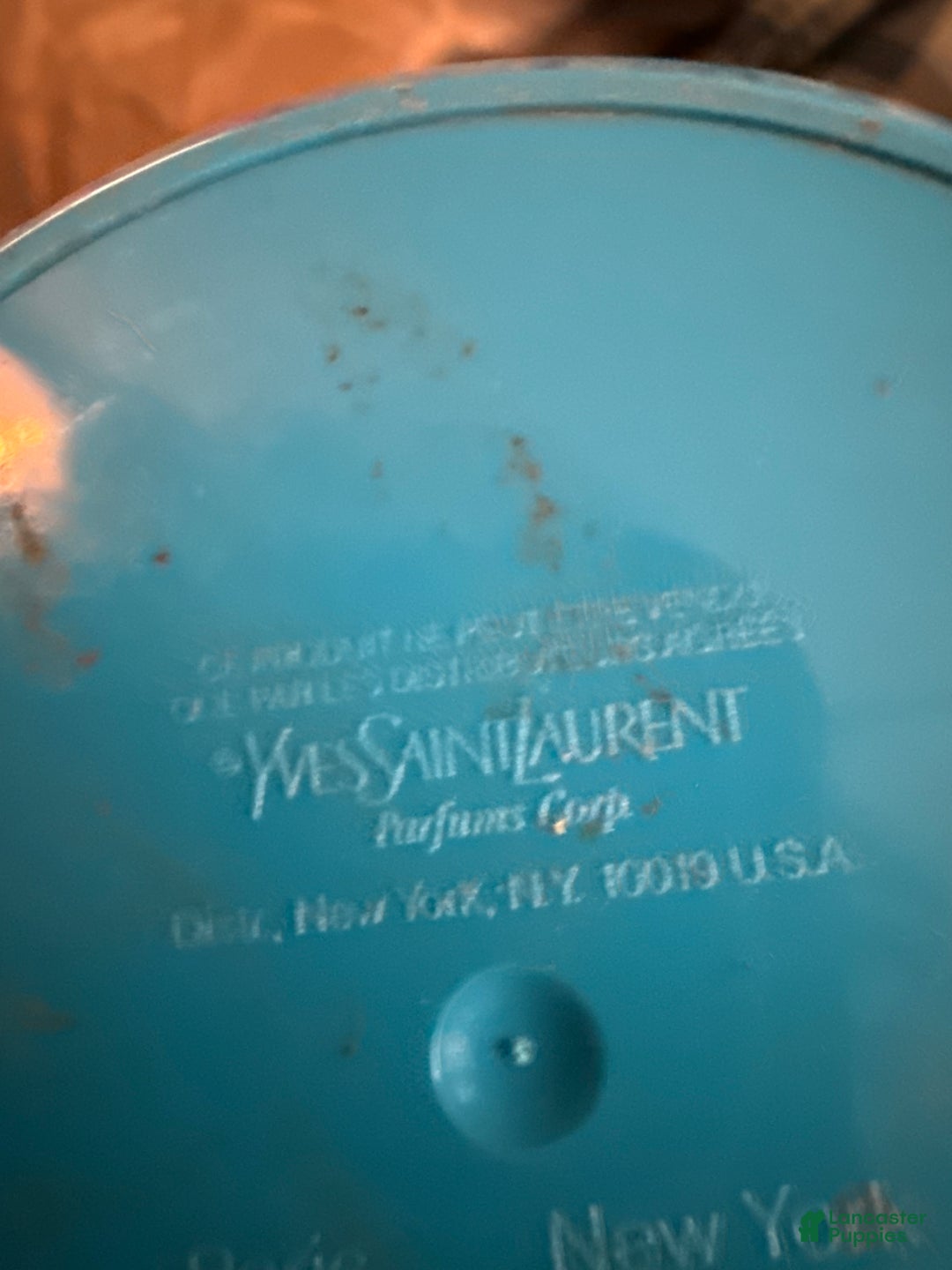 German Shepherd dogs for sale: Sussie B - Ad 18