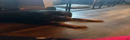 Rottweiler dogs for sale: Rottweiler 2 - Ad 29