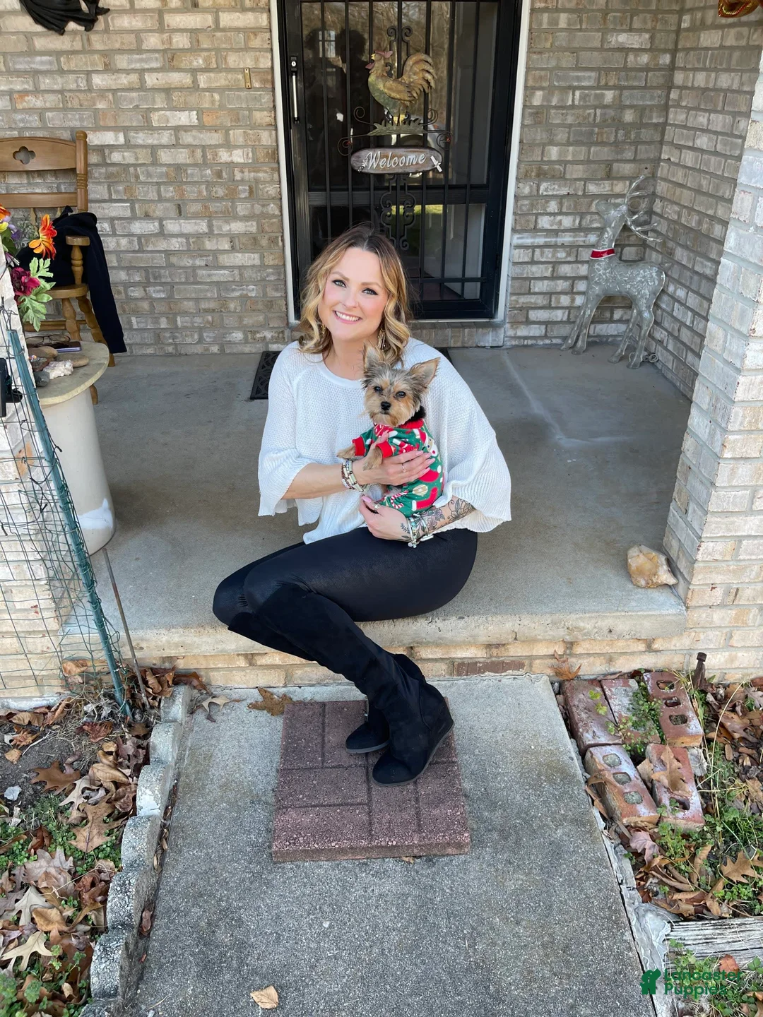 Gallery Image {{count}}