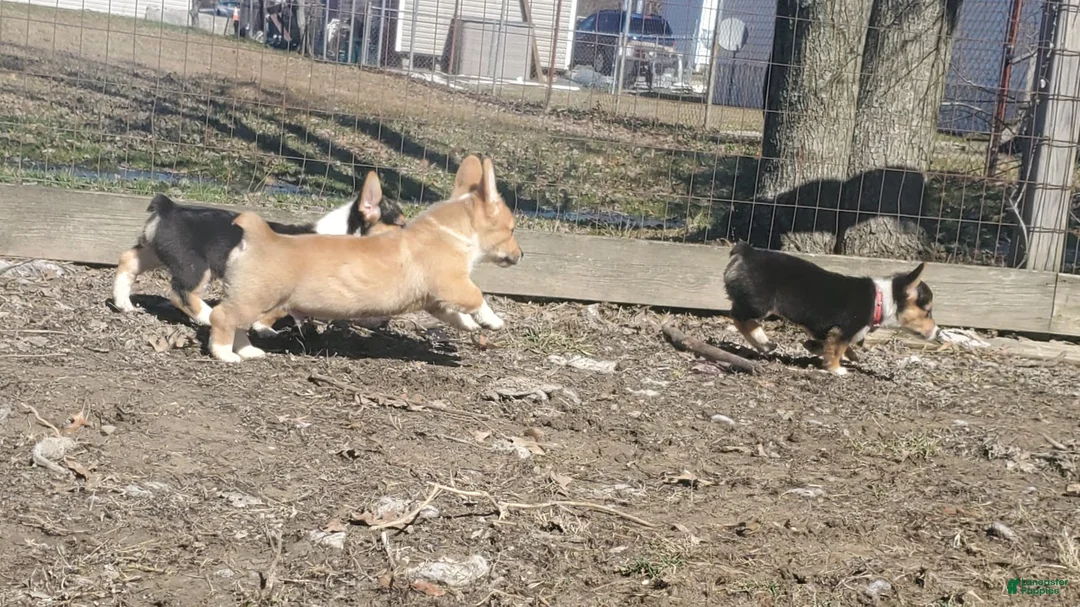 Gallery Image {{count}}