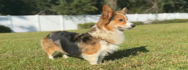 Kate