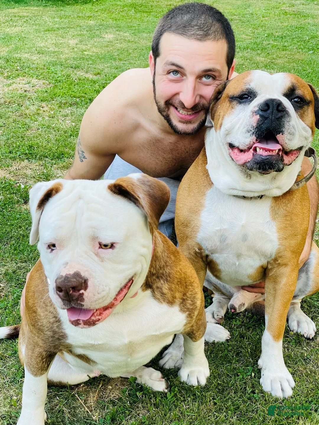 Gallery Image {{count}}