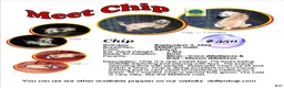 Maltipoo dogs for sale: Chip --- MaltiPoo, in home raised, non-shedding - Ad 1