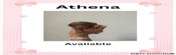 Mini Goldendoodle dogs for sale: Athena - Ad 1