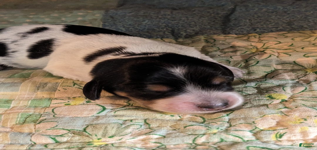 Gallery Image {{count}}