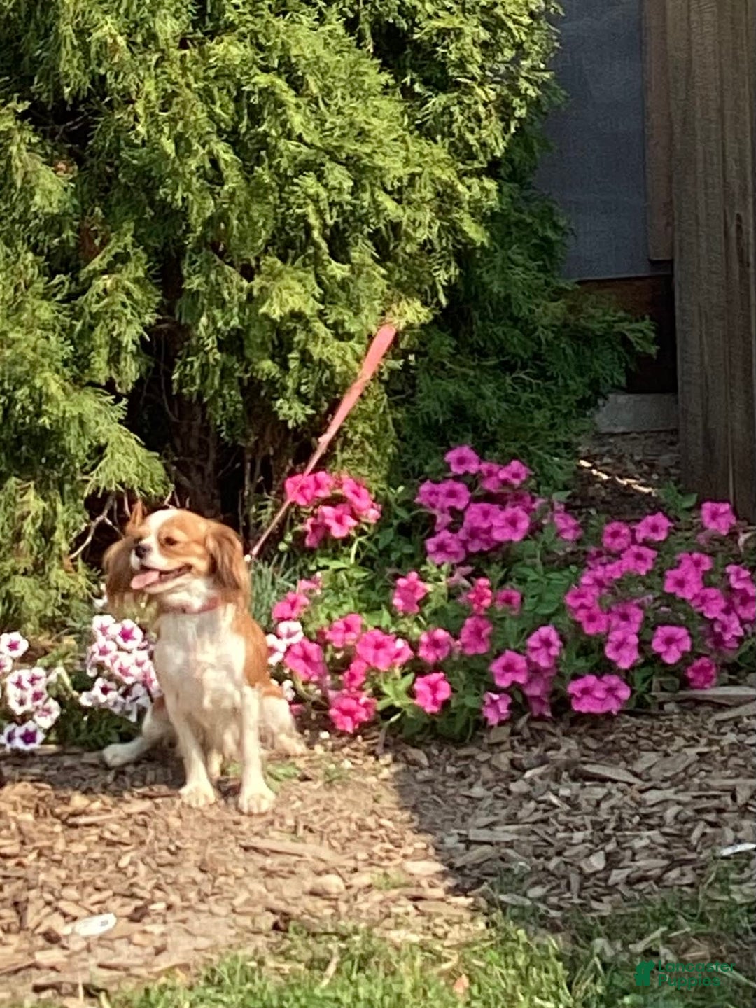 Gallery Image {{count}}