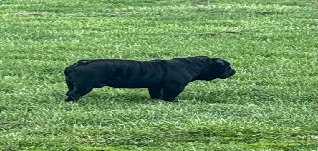 Gallery Image {{count}}