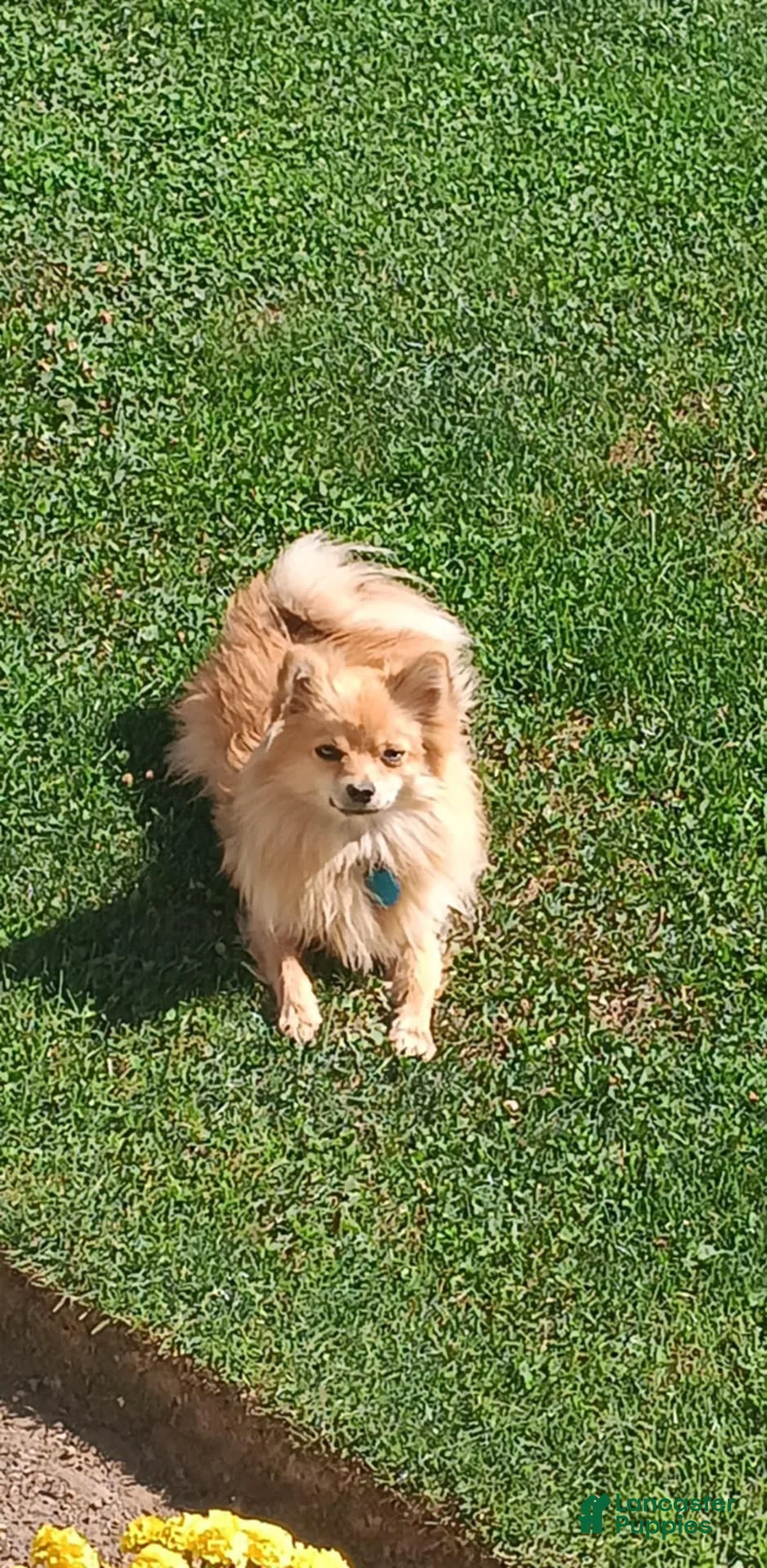 Gallery Image {{count}}