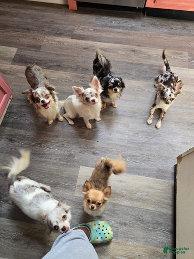 Gallery Image {{count}}