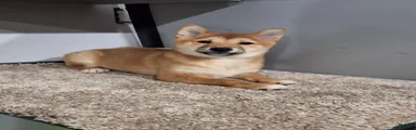 Tina