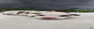 Grace