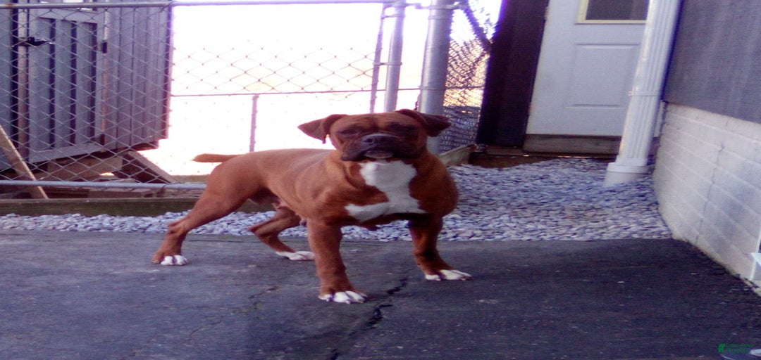 Gallery Image {{count}}