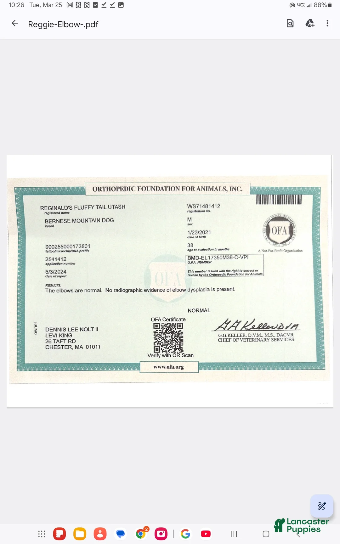 Gallery Image {{count}}